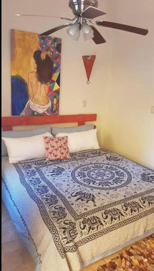 Perla Marina Ecolodge Beach - Kite, Surf, Next Encuentro Beach, Cabarete Bombita