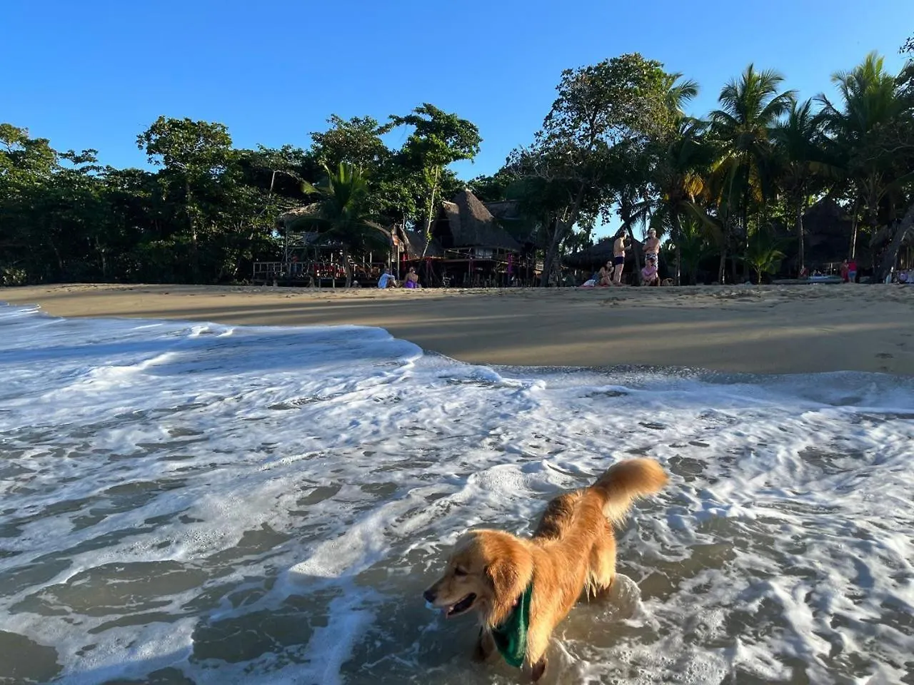 Otel Perla Marina Ecolodge Beach - Kite, Surf, Next Encuentro Beach, Cabarete Bombita