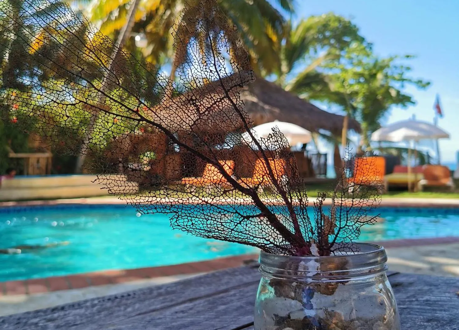 Otel Perla Marina Ecolodge Beach - Kite, Surf, Next Encuentro Beach, Cabarete Bombita