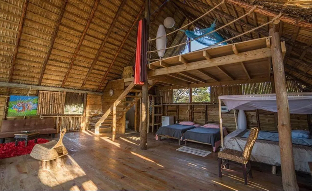 **** Отель Perla Marina Ecolodge Beach - Kite, Surf, Next Encuentro Beach, Cabarete Бомбита Доминиканская Республика