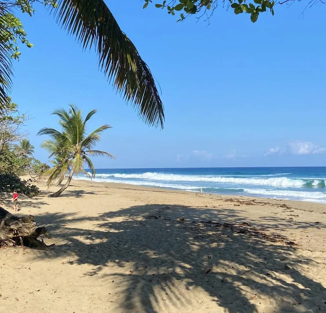 Perla Marina Ecolodge Beach - Kite, Surf, Next Encuentro Beach, Cabarete Бомбита 4*,  Доминиканская Республика